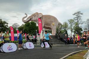 BIB: 
                            <button type="button" onclick="openModal(26528260)" class="btn btn-primary btn-sm float-right btn-popup" data-toggle="modal" data-target=".modal-high-quality">
                        <i class="fas fa-shopping-cart"></i> Add to Cart
                    </button>
                                            <button type="button" onclick="isThisMe(26528260, true)" class="btn btn-success btn-sm float-right btn-popup btn-isme hidden" data-toggle="tooltip" data-placement="bottom" title="นี่คือรูปของคุณใช่ไหม คลิกที่นี่เพื่อเอาเข้าอัลบั้ม">
                        <i class="fas fa-plus"></i> Add to album
                    </button>
                    <button type="button" onclick="isThisMe(26528260, false)" class="btn btn-warning btn-sm float-right btn-popup btn-isnotme hidden">
                        <i class="fas fa-ban"></i> Remove from album
                    </button>